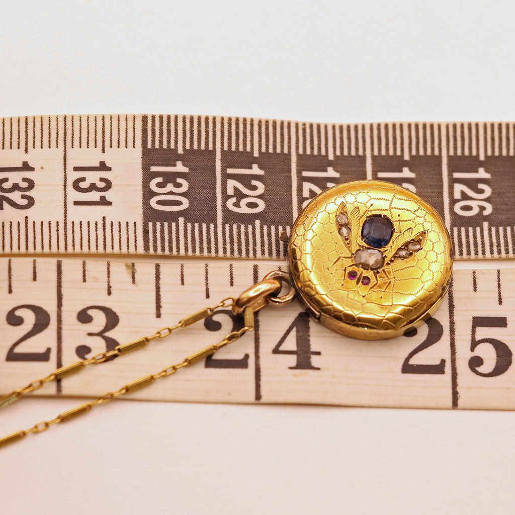 Antique Victorian pendant Cutter case Gold sapphire diamonds Bug Fly chain (7567)