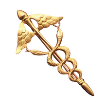 Antique Victorian Caduceus Brooch 18k Gold Winged Snakes Medicine Doctors (7352)
