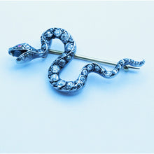 Antique Victorian snake brooch diamonds gold silver rubies serpent Unisex (7359)