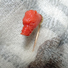 Antique Victorian stick tie pin gold natural coral boar pig head French (7470)