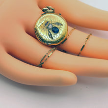 Antique Victorian pendant Cutter case Gold sapphire diamonds Bug Fly chain (7567)