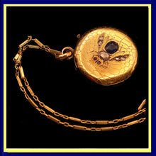 Antique Victorian pendant Cutter case Gold sapphire diamonds Bug Fly chain (