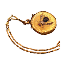 Antique Victorian pendant Cutter case Gold sapphire diamonds Bug Fly chain (7567)