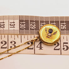 Antique Victorian pendant Cutter case Gold sapphire diamonds Bug Fly chain (7567)