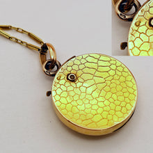 Antique Victorian pendant Cutter case Gold sapphire diamonds Bug Fly chain (7567)