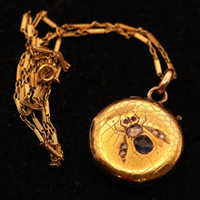 Antique Victorian pendant Cutter case Gold sapphire diamonds Bug Fly chain (7567)