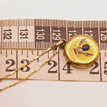 Antique Victorian pendant Cutter case Gold sapphire diamonds Bug Fly chain (7567)