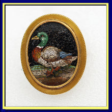 Antique Georgian Micromosaic gold pendant brooch locket Mallard duck (7656)