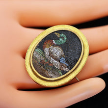Antique Georgian Micromosaic gold pendant brooch locket Mallard duck (7656)