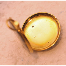 Victorian pendant locket gold guilloche Guilloche enamel landscape Swiss (7500)