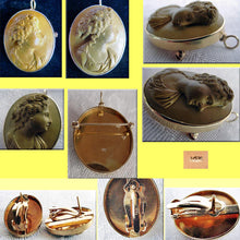 Antique Victorian Cameo Set Earrings Brooch Pendant 14k Gold Classic (3397)