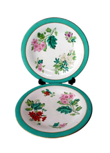 Pair ROYAL WORCESTER Porcelain handpainted Botanical plates C1868 (1148)