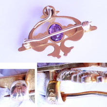 Carter, Gough & Co Antique Nouveau Brooch Pendant Gold Amethyst Peacocks (6511)