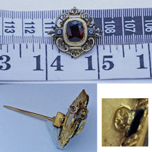 Carlo Giuliano Brooch Renaissance Revival Gold Enamel Garnet Diamonds (6671)