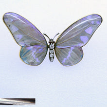 Antique Victorian Brooch Butterfly 15ct Gold Diamonds Rubies Lepidoptera (6920)