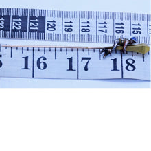 Antique Tie Pin Brooch gold silver enamel Jockey horse rider lamp Unisex (7085