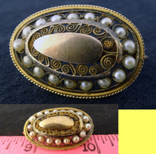 Antique Georgian Napoleon I Imperial Earrings Gold Pearls Cannetille (5619)