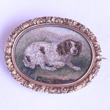 Antique Georgian Micromosaic Brooch Pendant Locket 14k Gold Spaniel Dog (7295)