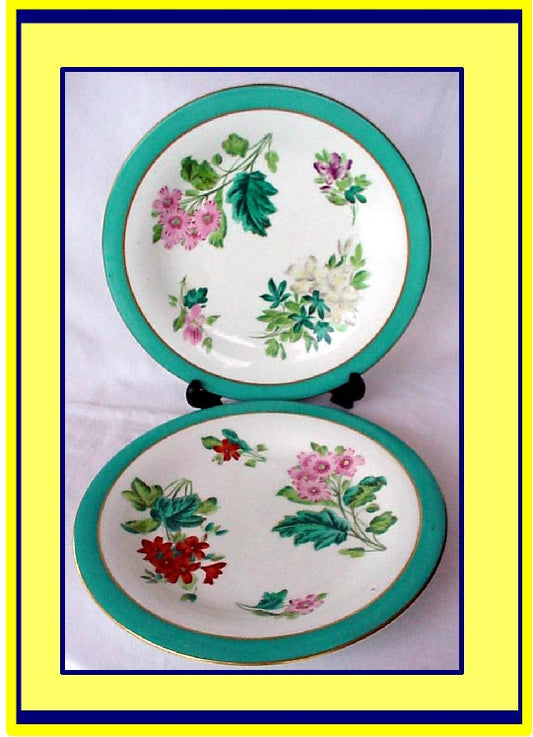 Antique royal worcester botanical plates