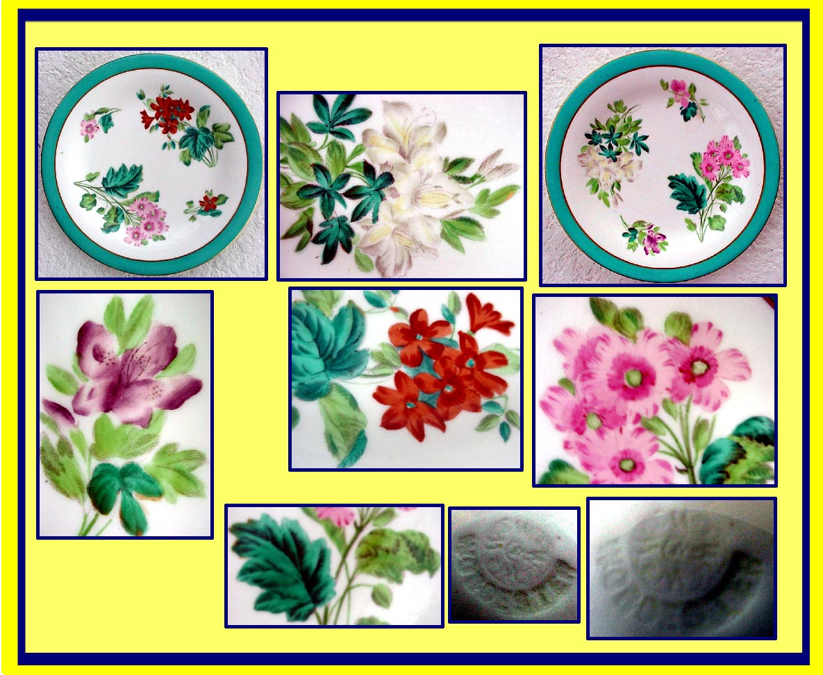 Pair ROYAL WORCESTER Porcelain handpainted Botanical plates C1868 (1148)
