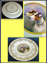 Antique Royal Worcester Plate Painting Dog Gilding Signed Stanley (3781)