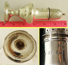 Antique Georgian Sterling Silver Caster w Acorn C1813 Stephen Adams Jr  (5521)